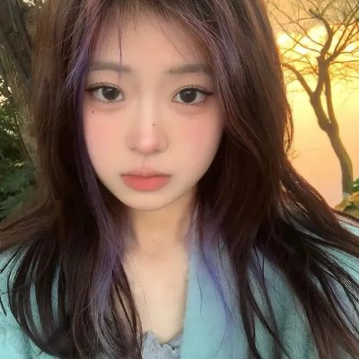 国子监来了个女弟子